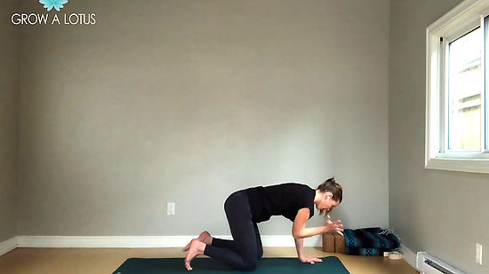 Beginner Yoga (Upper Body)